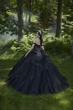 Mori Lee 60197 Black Quinceanera Dress -Fashion wedding dress mlvss s24 60197 03